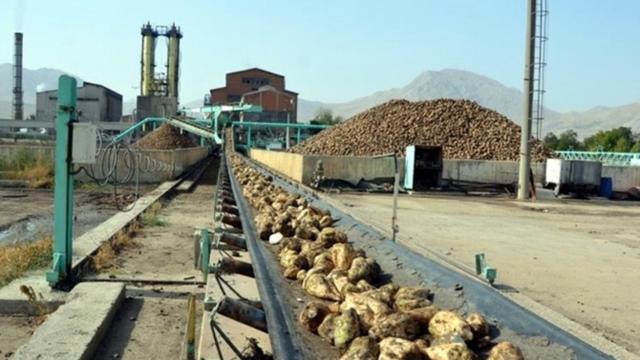 Krizde Çıkmaz Sokak: Şeker Fabrikalarının Özelleştirilmesi