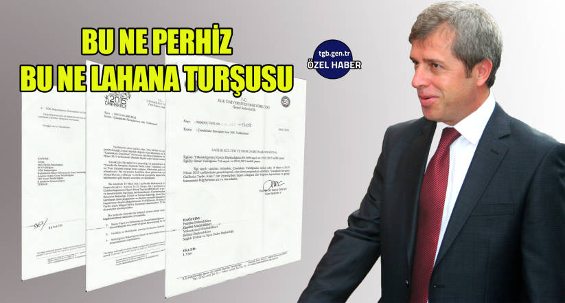 Bu ne perhiz bu ne lahana turşusu
