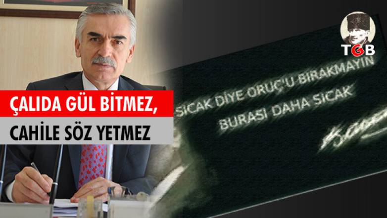Çalıda Gül Bitmez, Cahile Söz Yetmez