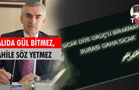 Çalıda Gül Bitmez, Cahile Söz Yetmez