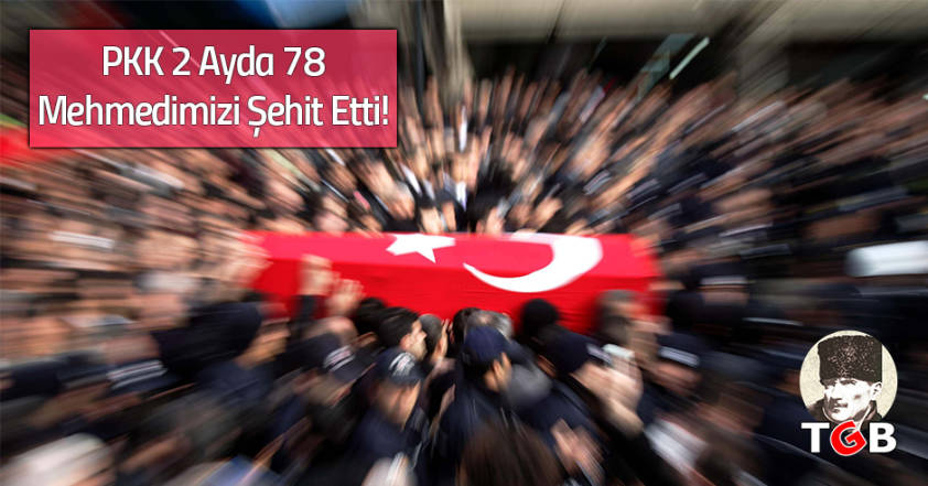PKK 2 Ayda 78 Mehmedimizi Şehit Etti!