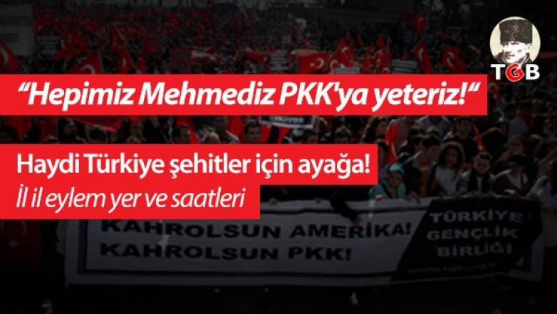 Hepimiz Mehmediz PKK'ya yeteriz! Haydi T&uuml;rkiye Şehitler İ&ccedil;in Ayağa! İl İl Eylem Yer ve Saatleri
