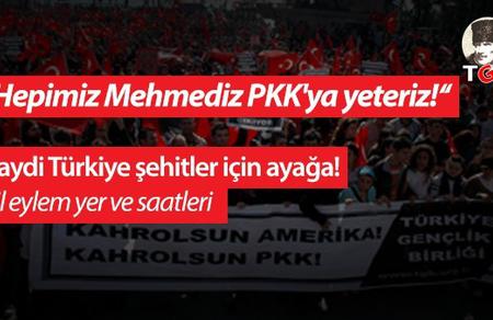 Hepimiz Mehmediz PKK'ya yeteriz! Haydi T&uuml;rkiye Şehitler İ&ccedil;in Ayağa! İl İl Eylem Yer ve Saatleri