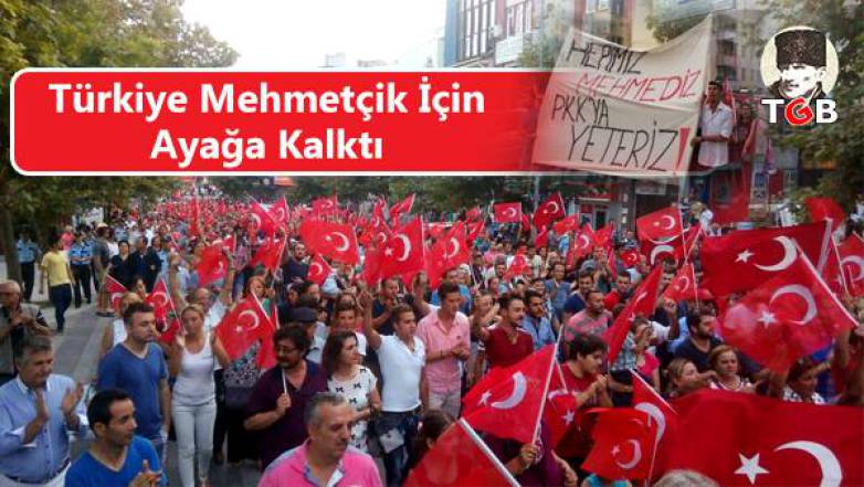 T&uuml;rkiye Mehmet&ccedil;ik İ&ccedil;in Ayağa Kalktı