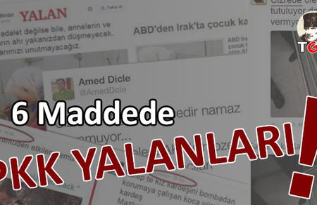 6 Maddede PKK Yalanları!