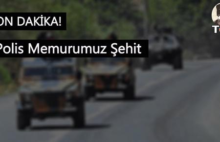 SON DAKİKA