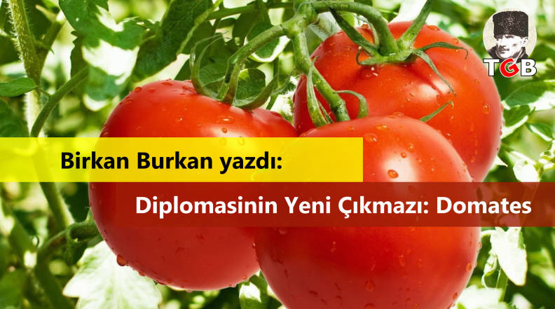 Birkan Burkan yazdı: Diplomasinin Yeni &Ccedil;ıkmazı: Domates