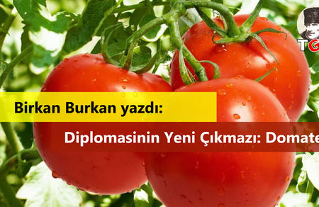 Birkan Burkan yazdı: Diplomasinin Yeni &Ccedil;ıkmazı: Domates