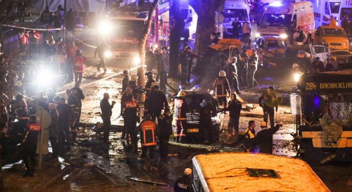 Siyah Renkli Barış Güvercinlerinin Kanatları Kırılırken