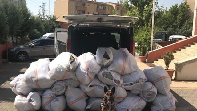 Diyarbakır'da PKK'ya büyük darbe