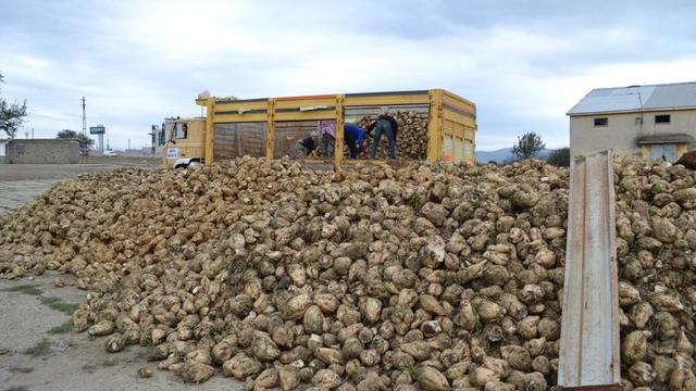 Şeker fabrikaları özelleştiriliyor: 14 fabrika satışta!