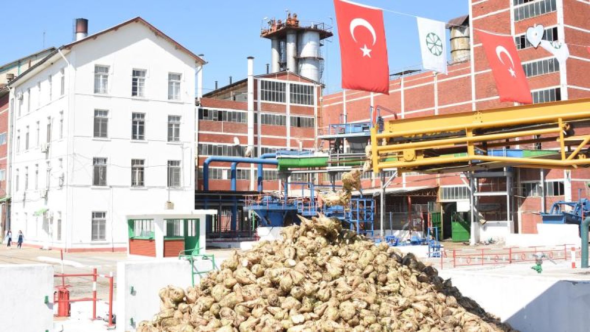 Şekerde ilk başarı: Alpullu'nun satışı iptal edildi!