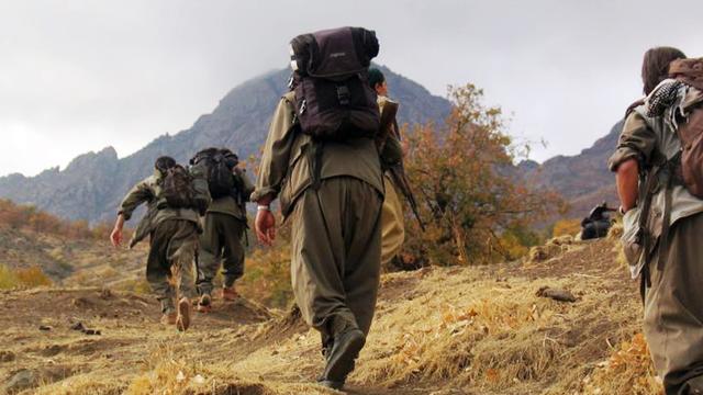Terör örgütü PKK'nın yönetim kadrosuna ağır darbe