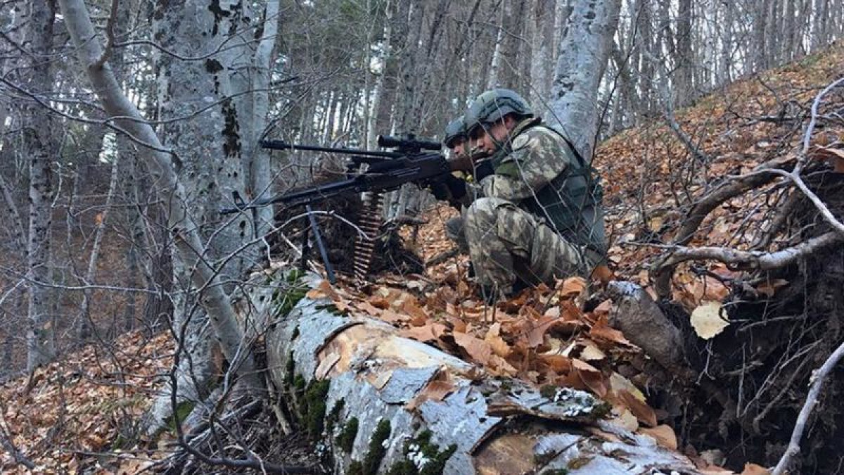 Mehmetçik Amanos Dağını PKK'dan temizledi
