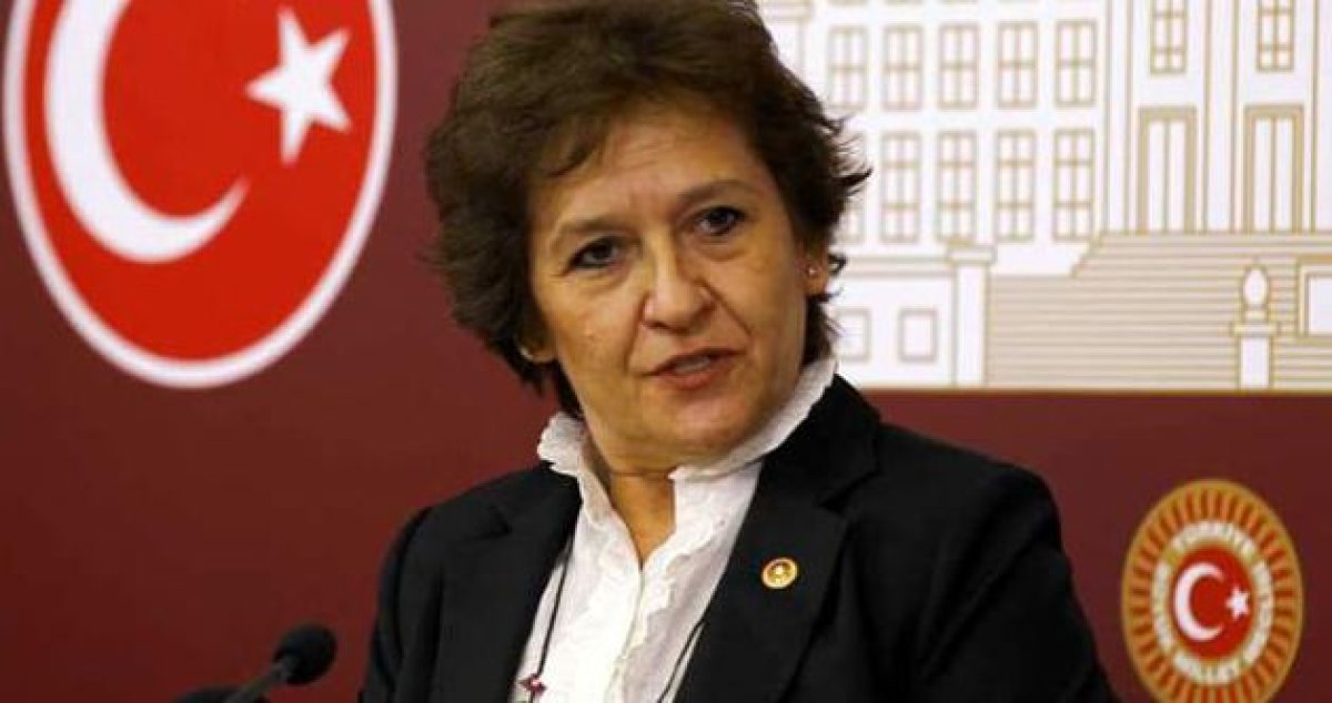 Birgül Ayman Güler'den 29 Ekim Çağrısı