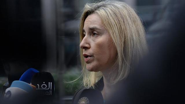 Türkiye'nin Suriye Operasyonu Avrupa Birliği'ni Rahatsız Etti