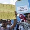 Şincan'da 5 Yalan 5 Gerçek