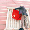 Aileler HDP Binasına Ay Yıldızlı Şal Astı
