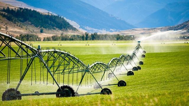 Zor Koşulların İlacı Tarımsal Üretim