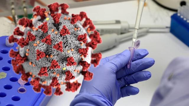 Türk bilim İnsanlarından Koronavirüs Araştırmalarına Katkı Verecek Yeni Keşif