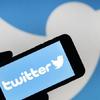 Twitter Baronlarının Terör Seviciliği