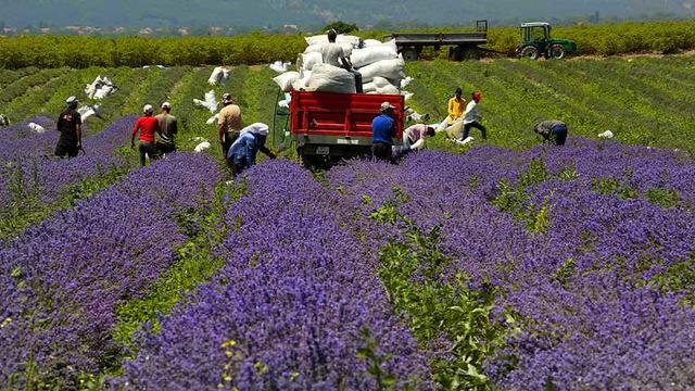 "Bir Dünya Üreten Kadın" Projesi Büyüyor