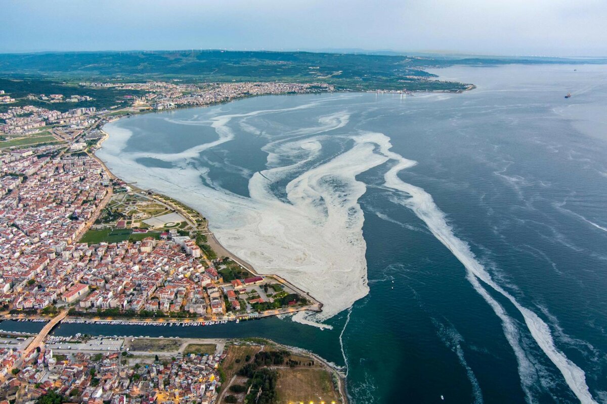 Marmara Denizi’ni kurtaracak 22 adım