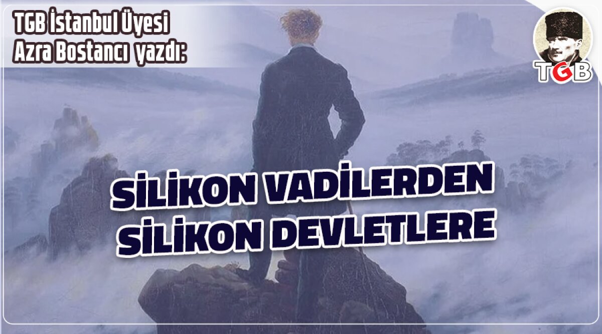 SİLİKON VADİLERDEN SİLİKON DEVLETLERE