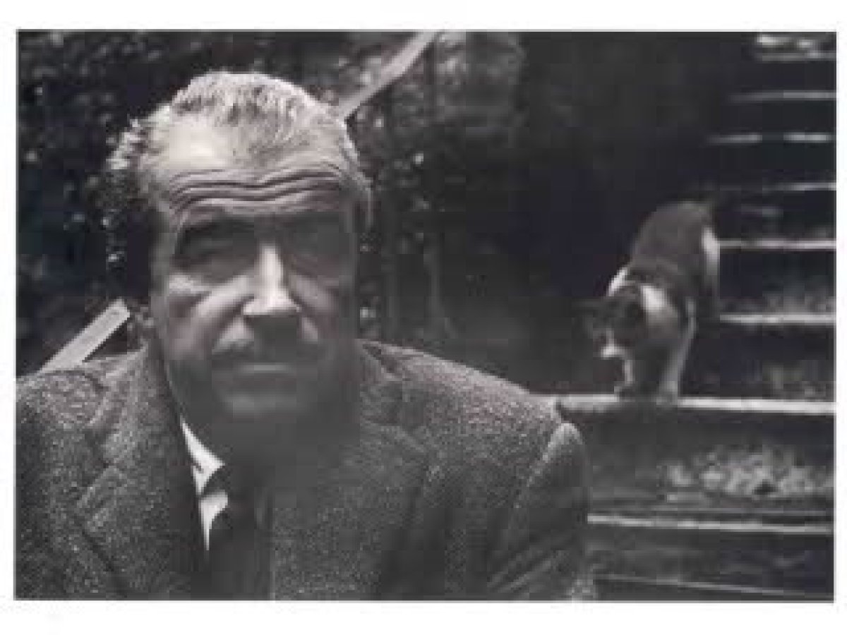 ’Ben kalemimi, aslında öteki milletlerden hiçbir bakımdan geri olmayan milletimin gelişmesini engelleyen şartlara karşı koymuş bir yazarım.’’